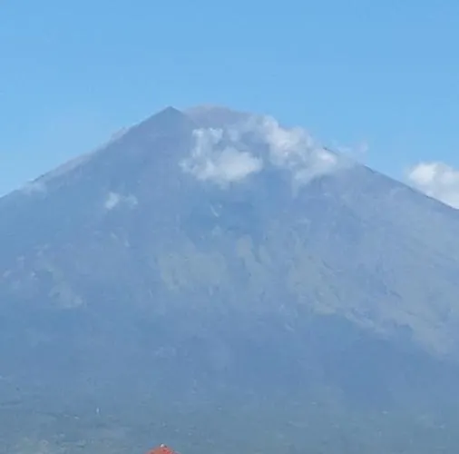 Pakel's Bali